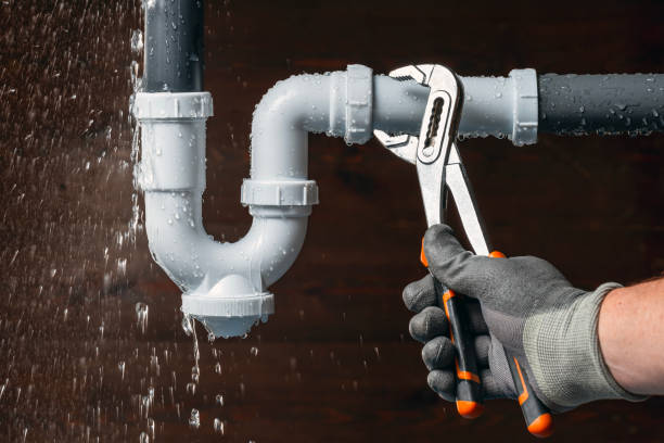 Professional Plumbing technician working in Roland, IA
